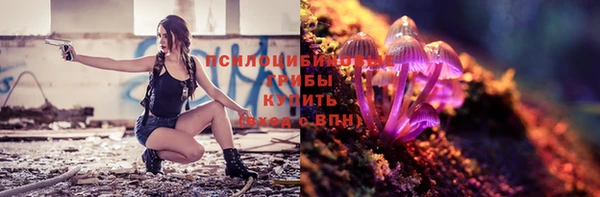 первитин Лабытнанги