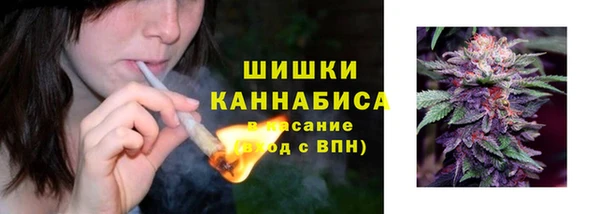 первитин Лабытнанги