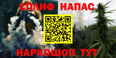 спиды Волгодонск