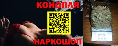 спиды Волгодонск