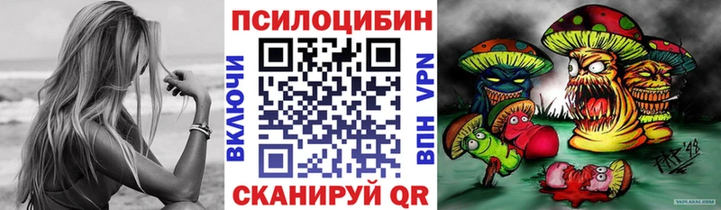 наркошоп  это как зайти  Псилоцибиновые грибы Psilocybe  Алексин 