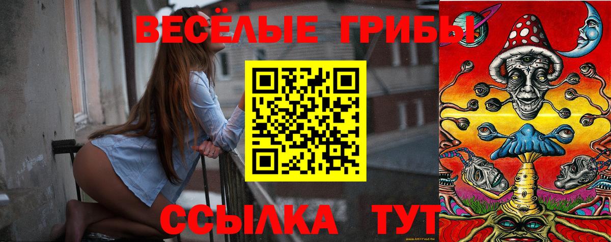 Галлюциногенные грибы Psilocybe  Галлюциногенные грибы GOLDEN TEACHER  Алексин  Вход с VPN 