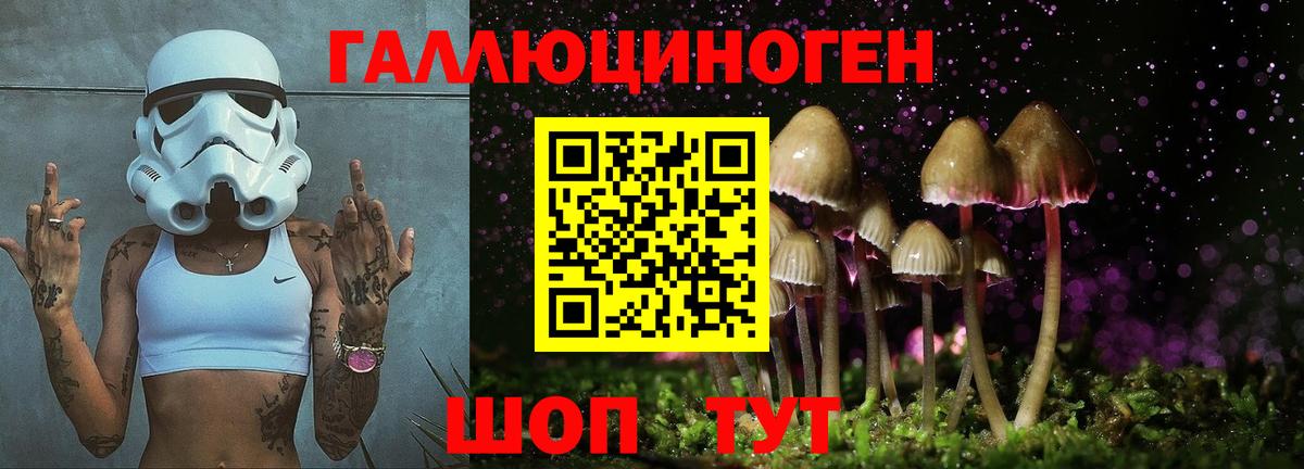 Галлюциногенные грибы мицелий  Алексин 