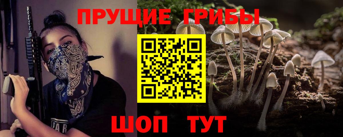 Алексин  Галлюциногенные грибы прущие грибы  Вход с VPN 