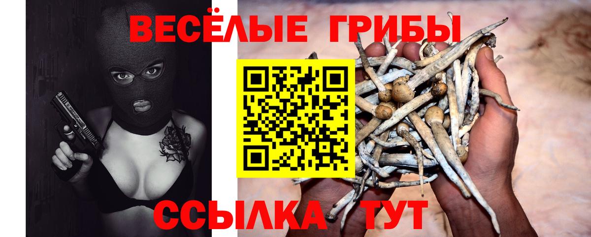 Псилоцибиновые грибы прущие грибы Алексин