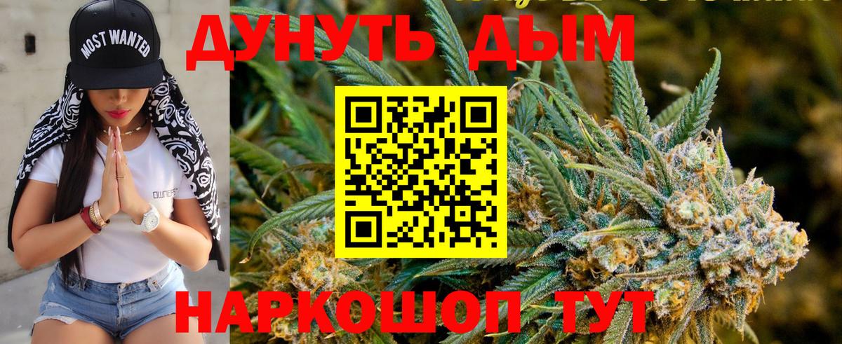 Бошки Шишки семена  Вход с VPN  МАРИХУАНА семена  Бошки Шишки Amnesia  Алексин 